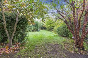 Photo 19- click for photo gallery